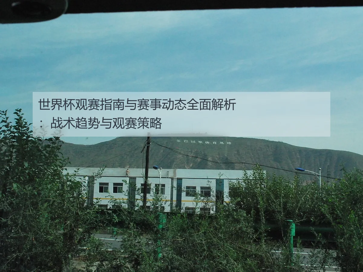 世界杯观赛指南与赛事动态全面解析:战术趋势与观赛策略