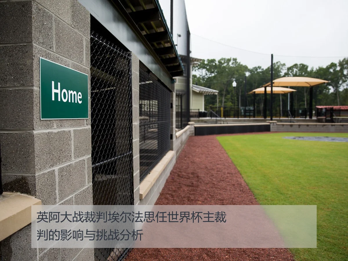 英阿大战裁判埃尔法思任世界杯主裁判的影响与挑战分析